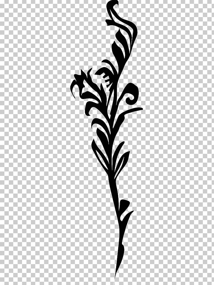 Euclidean PNG, Clipart, Black, Black And White, Branch, Color, Decoration Free PNG Download