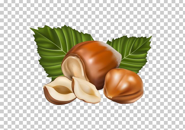 Hazelnut PNG, Clipart, Almond, Bonbon, Commodity, Common Hazel, Computer Icons Free PNG Download