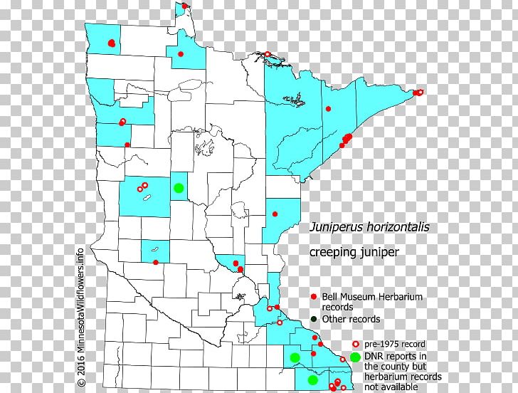 Line Land Lot Point Map Tuberculosis PNG, Clipart, Area, Art, Land Lot, Line, Map Free PNG Download