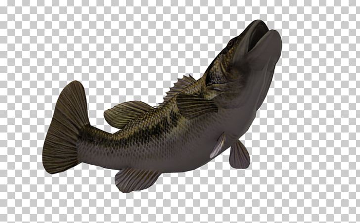 Shoe Fish PNG, Clipart, Animals, Fish, Marine Mammal, Shoe Free PNG Download