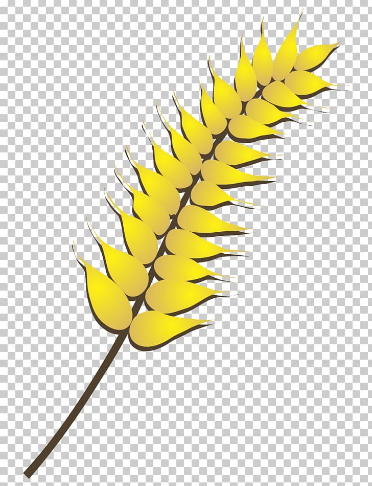 Wheat PNG, Clipart, Commodity, Drawing, Ear, Filename Extension, Flower Free PNG Download