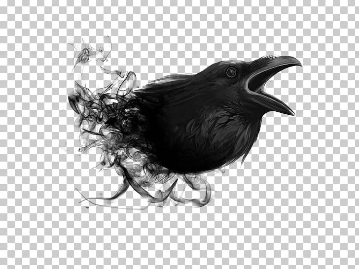 Editing PicsArt Photo Studio Desktop PNG, Clipart, After, After Dark, Animals, Beak, Bird Free PNG Download