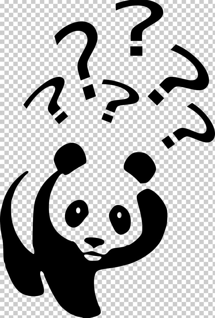 Panda with question marks over head