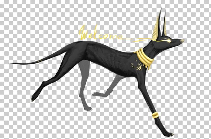 Anubis Pack Basior Dog Ancient Egypt PNG, Clipart, Ancient Egypt, Anubis, Apep, Basior, Bastet Free PNG Download