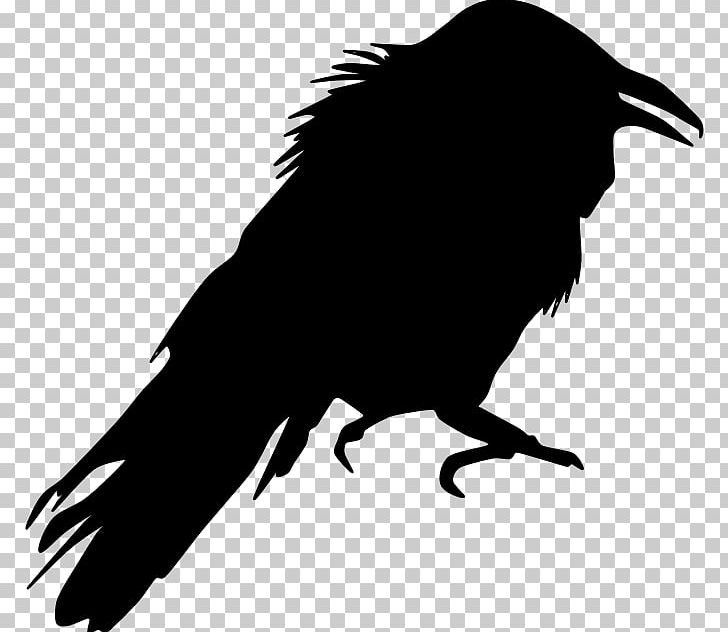 Crow Bird Silhouette PNG, Clipart, American Crow, Animals, Beak, Bird, Bird Of Prey Free PNG Download