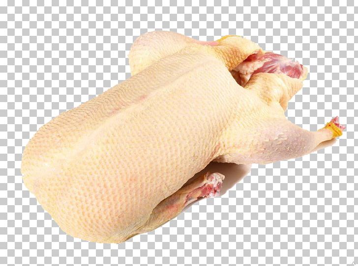 Domestic Duck Duck Meat Poultry PNG, Clipart, Animal Fat, Animals, Animal Source Foods, Beef, Domestic Duck Free PNG Download