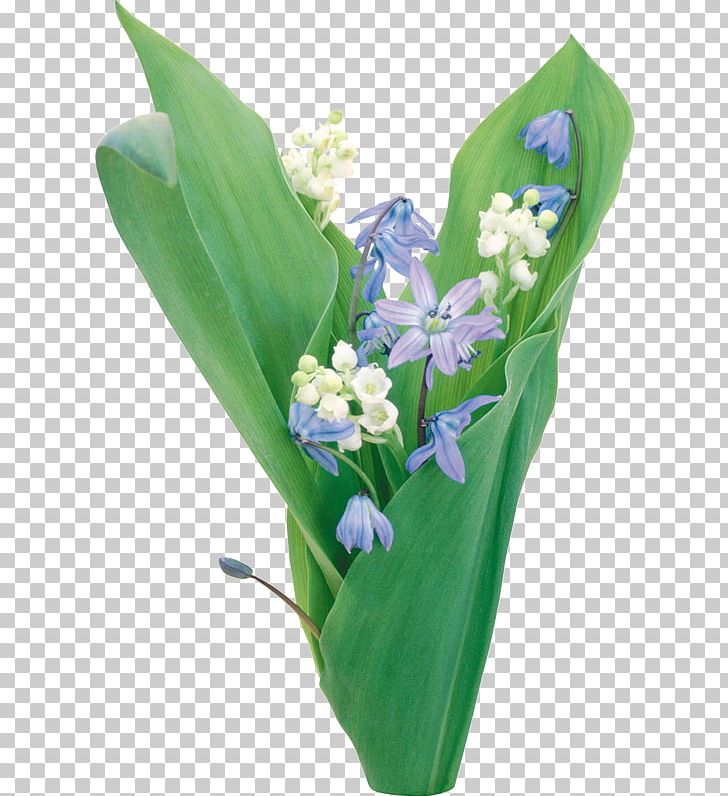 Lily Of The Valley LiveInternet Diary PNG, Clipart, Blog, Byte, Cut Flowers, Diary, Floral Design Free PNG Download