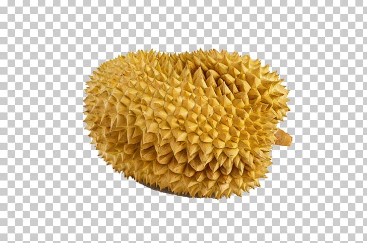 Durian Thai Cuisine Thai Curry Fruit PNG, Clipart, Download, Durian Durian, Food, Food Icon, Food Logo Free PNG Download