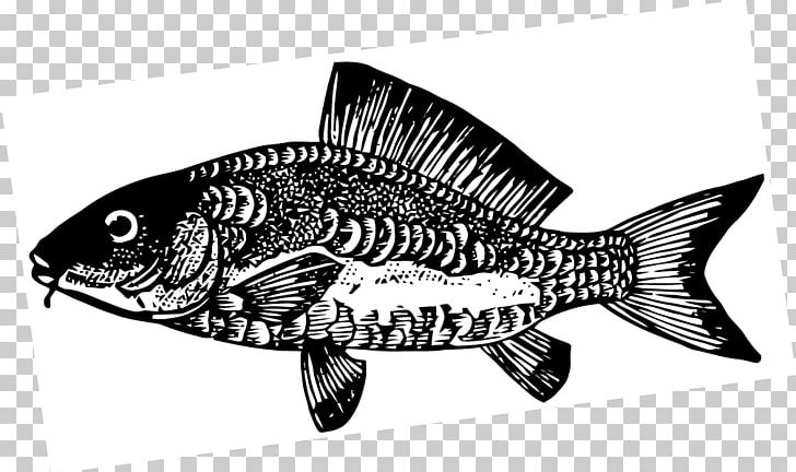 Fish Carp Black And White PNG, Clipart, Animal, Bass, Black And White, Black Carp, Carp Free PNG Download