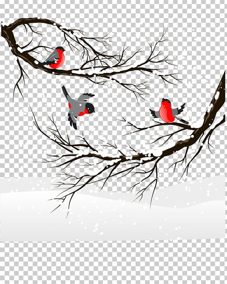 Winter Birds PNG, Clipart, Art, Beak, Bird, Birds, Black And White Free PNG Download