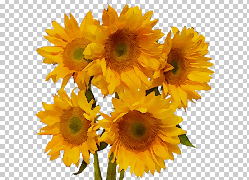 Artificial Flower PNG, Clipart, Annual Plant, Artificial Flower, Asterales, Calendula, Cuisine Free PNG Download