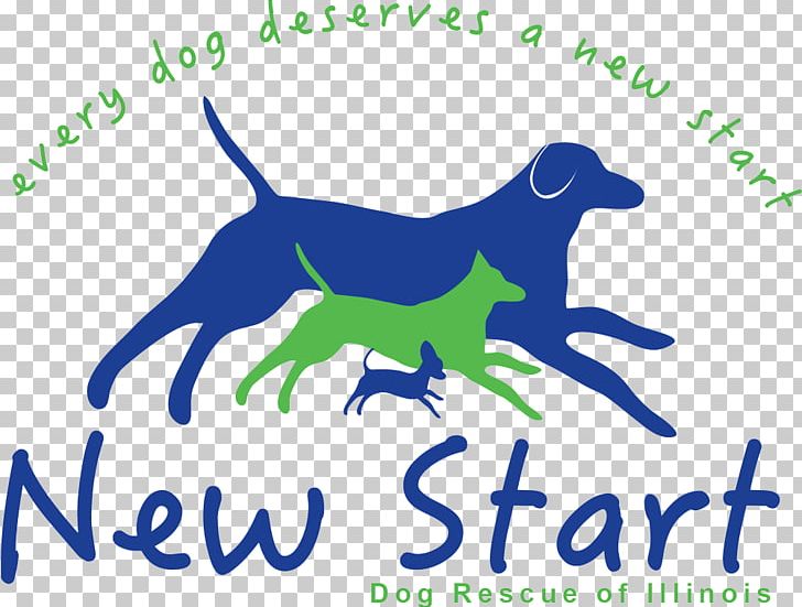 Dog Breed Puppy Animal Rescue Group Rescue Dog PNG, Clipart, Animal, Animal Rescue Group, Animals, Animal Shelter, Area Free PNG Download