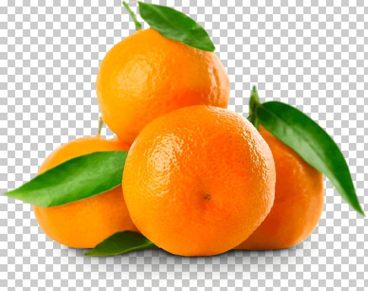Mandarin Orange Clementine Tangerine Tangelo Fruit PNG, Clipart, Auglis, Berry, Bitter Orange, Calamondin, Chenpi Free PNG Download