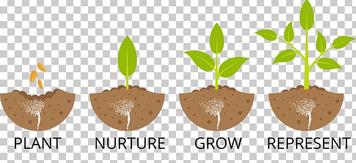 Seedling Sowing Tree Planting PNG, Clipart, Agriculture, Flat Design, Flowerpot, Food Drinks, Germination Free PNG Download