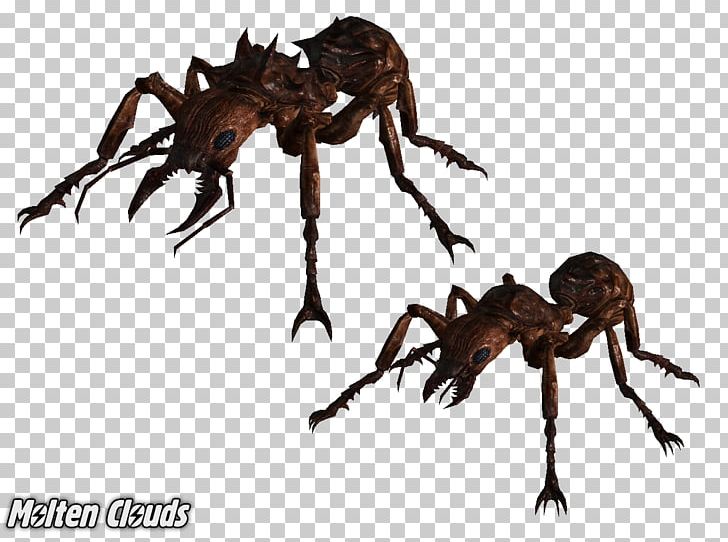 Army Ant Insect Art PNG, Clipart, Animal, Animals, Ant, Antman, Ants Free PNG Download