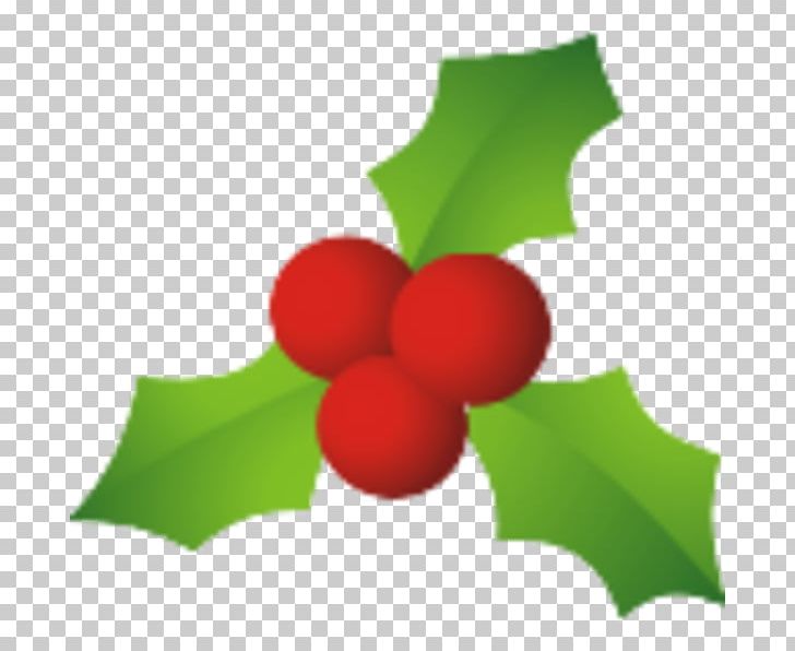 Common Holly Candy Cane Santa Claus Mistletoe Christmas PNG, Clipart, Aquifoliaceae, Aquifoliales, Candy Cane, Can Stock Photo, Christmas Free PNG Download