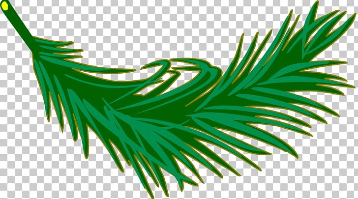 Leaf Arecaceae Palm Branch Frond PNG, Clipart, Arecaceae, Arecales, Computer Icons, Desktop Wallpaper, Fern Free PNG Download