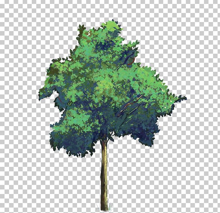 PicsArt Photo Studio Tree Structure PNG, Clipart, Broadleaved Tree, Clip Art, Data Conversion, Grass, Leaf Free PNG Download