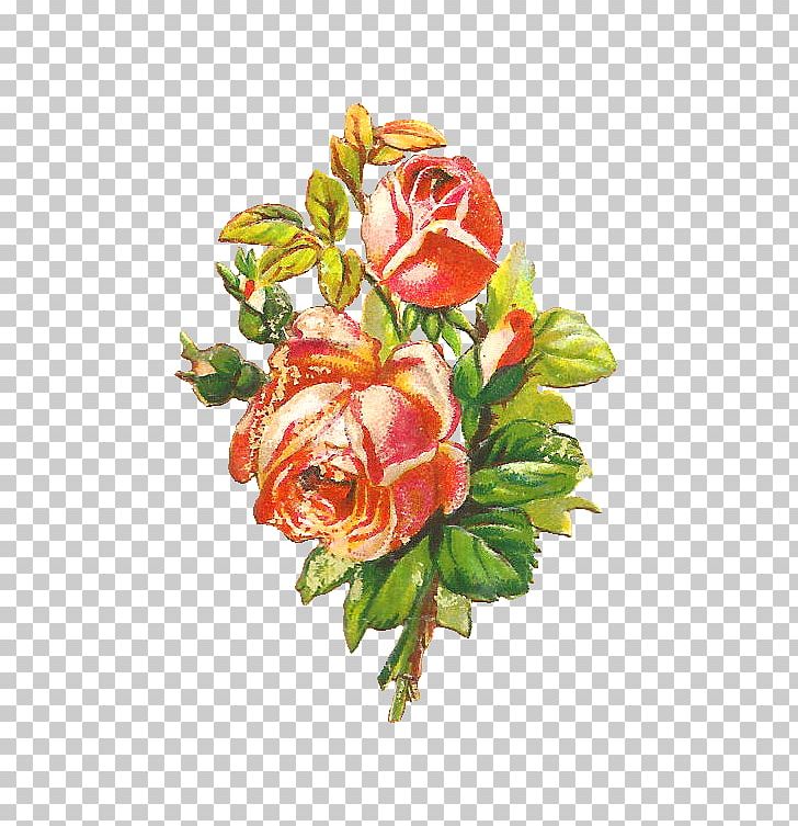 Shabby Chic Flower Rose PNG, Clipart, Artificial Flower, Cut Flowers, Distressing, Drawing, Floral Design Free PNG Download