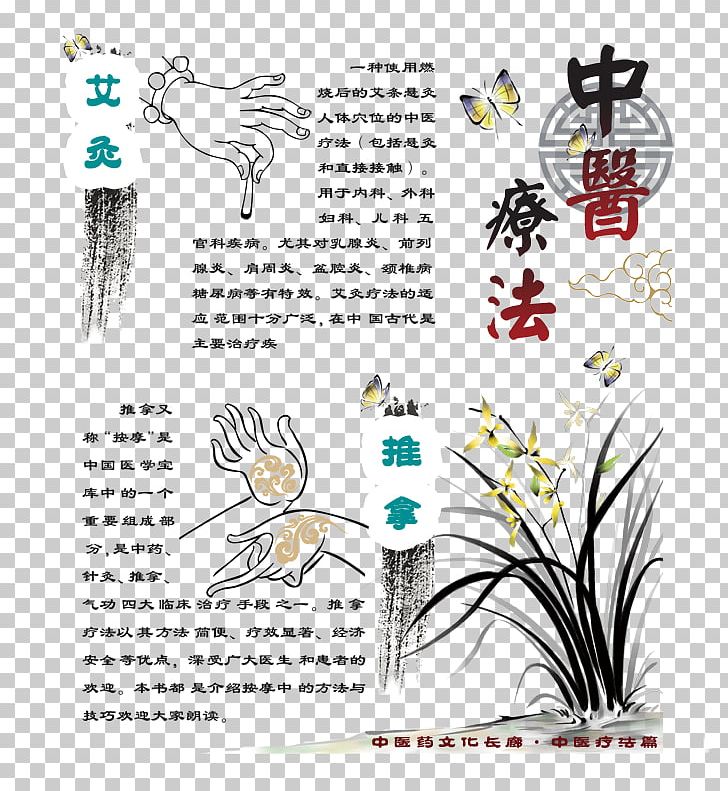 Traditional Chinese Medicine Tui Na Physical Therapy Acupuncture PNG, Clipart, Cartoon, Clip Art, Design, Diagram, Flower Free PNG Download