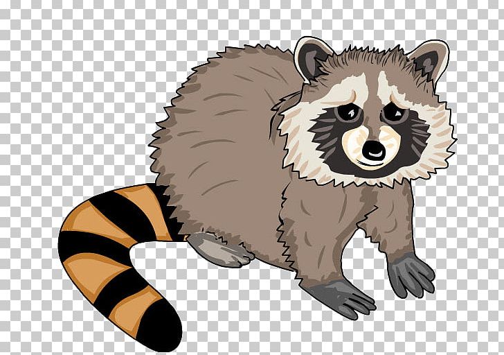 Whiskers Raccoon Technology Education Animal PNG, Clipart, Animal, Animal Figure, Area, Bear, Carnivoran Free PNG Download