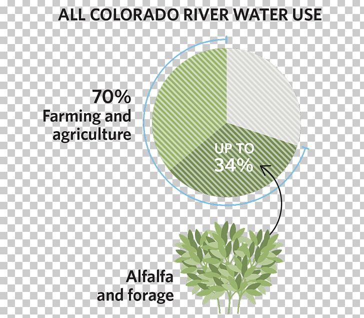 Colorado River Water Food PNG, Clipart, Agriculture, Alfalfa, Brand, Colorado, Colorado River Free PNG Download