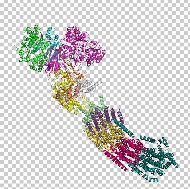 NADH:ubiquinone Oxidoreductase Nicotinamide Adenine Dinucleotide Enzyme Dehydrogenase PNG, Clipart, 3 M, 9 S, Art, Body Jewelry, Coenzyme Free PNG Download