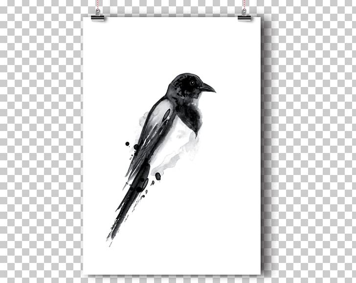 Poster Art Illustrator Printmaking PNG, Clipart, Art, Artist, Beak, Bird, Black And White Free PNG Download