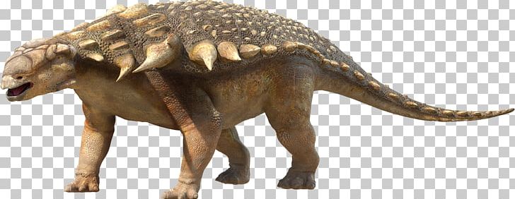 Tyrannosaurus Edmontonia Hesperonychus Parksosaurus Pachyrhinosaurus PNG, Clipart, Animal Figure, Ankylosaurus, Armour, Charles Mortram Sternberg, Dinosaur Free PNG Download