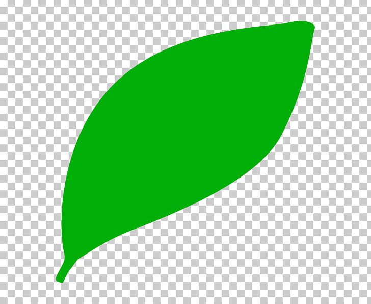Illustration Leaf Graphics Plants Product Design PNG, Clipart, Computer Icons, Energy, Flower, Grass, Green Free PNG Download