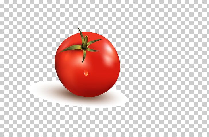 Tomato Diet Food Apple PNG, Clipart, Apple, Cherry Tomato, Computer, Computer Wallpaper, Diet Free PNG Download