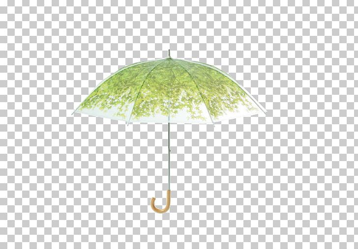 Umbrella Transparency And Translucency Sunlight Green Shade PNG, Clipart, Art, Christmas Lights, Gear, Grass, Green Free PNG Download