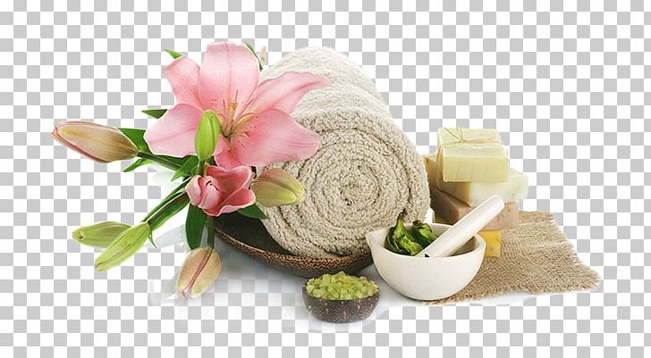 Day Spa Beauty Parlour Waxing Facial PNG, Clipart, Beauty Parlour, Cosmetics, Cut Flowers, Day Spa, Facial Free PNG Download