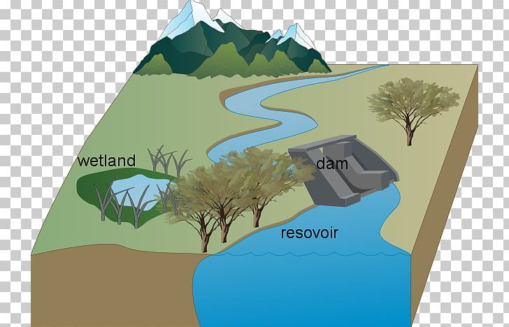 Water Resources Dam Reservoir Wetland PNG, Clipart, Brand, Dam, Diagram, Ecosystem, Editing Free PNG Download