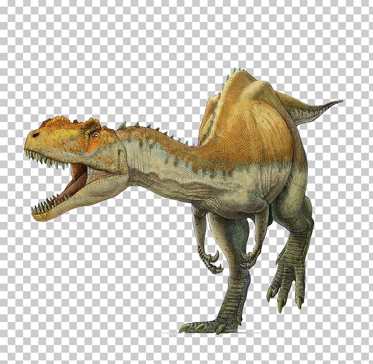 Yangchuanosaurus Tyrannosaurus Metriacanthosaurus Allosaurus Spinosaurus PNG, Clipart, Animal, Animals, Carnivore, Cartoon Dinosaur, Cute Dinosaur Free PNG Download
