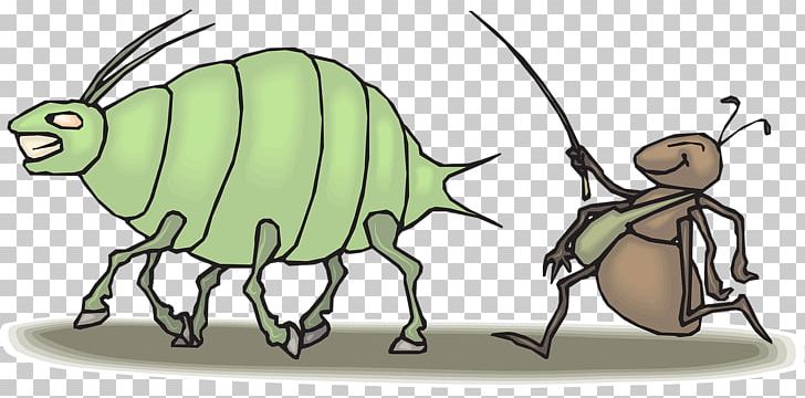 Ant Aphid Beetle Pest PNG, Clipart, Acari, Animals, Ant, Aphid, Arthropod Free PNG Download