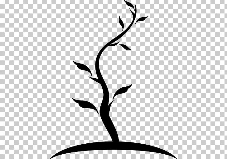 Computer Icons Trunk Tree PNG, Clipart, Artwork, Beak, Black, Black And White, Branch Free PNG Download