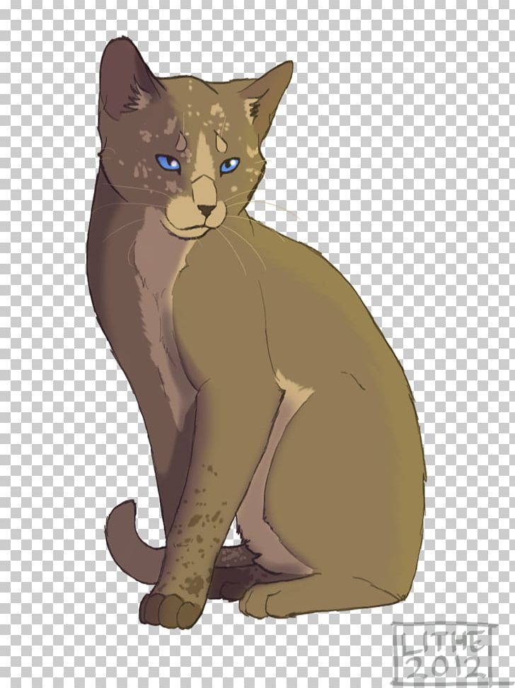 Havana Brown Animal Chihuahua Warriors Kitten PNG, Clipart, Animal, Animals, Art, Asian, Burmese Free PNG Download