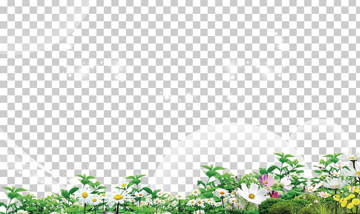Flower Euclidean Grass PNG, Clipart, Chrysanthemum Chrysanthemum, Chrysanthemum Flowers, Chrysanthemums, Chrysanthemum Tea, Creative Free PNG Download
