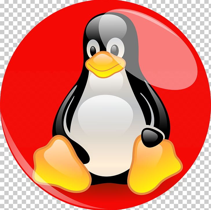 Penguin Red Hat Enterprise Linux Red Hat Linux Tux PNG, Clipart, Beak, Bird, Computer Servers, Computer Software, Flightless Bird Free PNG Download