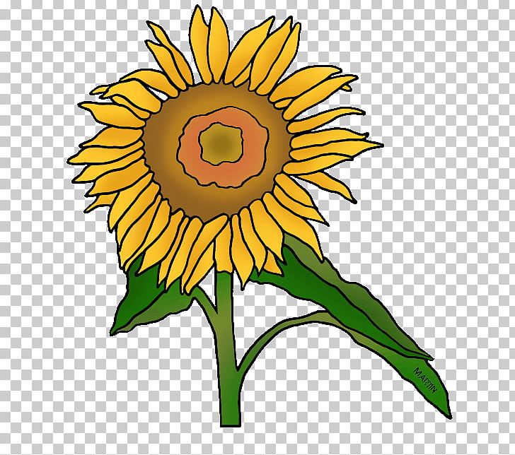 Common Sunflower Kansas Floral Design PNG, Clipart, Artwork, Clip, Clip Art, Common Sunflower, Cut Flowers Free PNG Download
