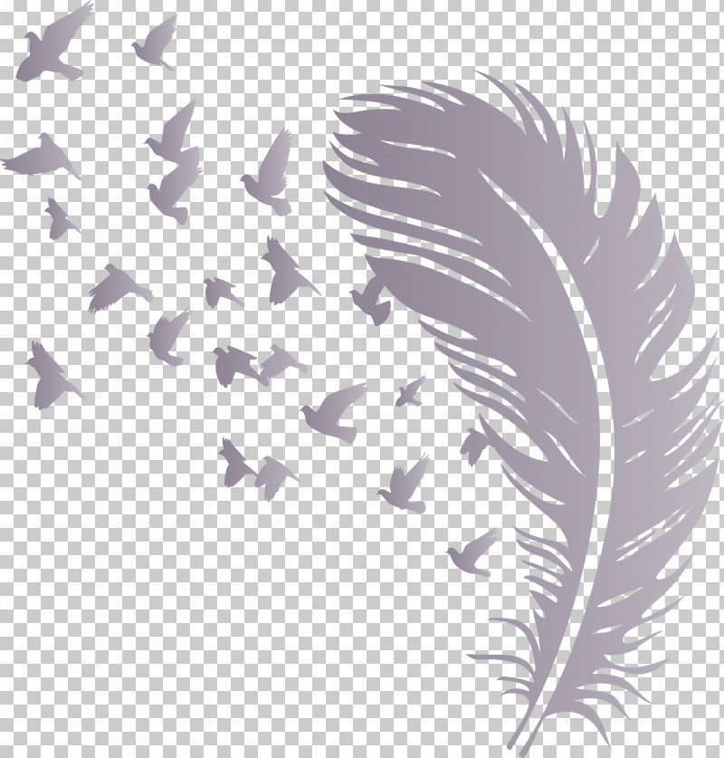 Bird Feather PNG, Clipart, Biology, Bird Feather, Feather, Leaf, Line Free PNG Download