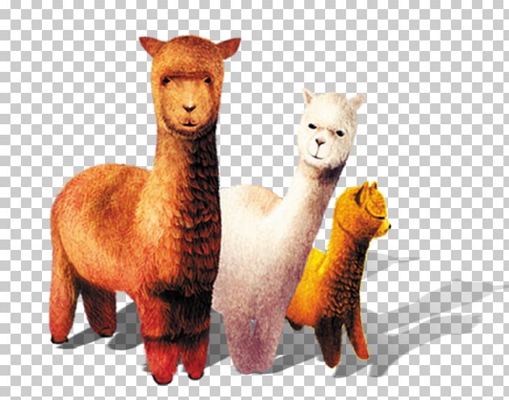 Alpaca Grass Mud Horse Sheep Llama Stuffed Toy PNG, Clipart, Alpaca, Animals, Balloon Cartoon, Boy Cartoon, Camel Like Mammal Free PNG Download