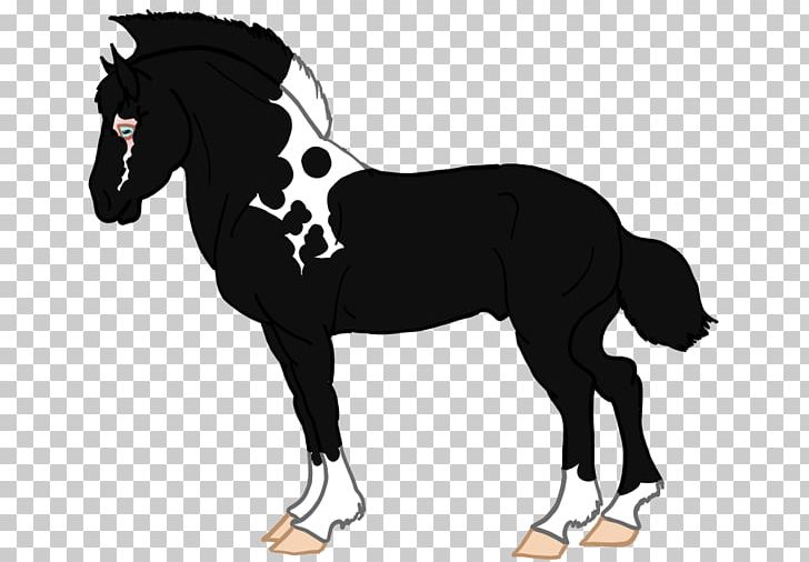 Mane Mustang Foal Pony Stallion PNG, Clipart,  Free PNG Download