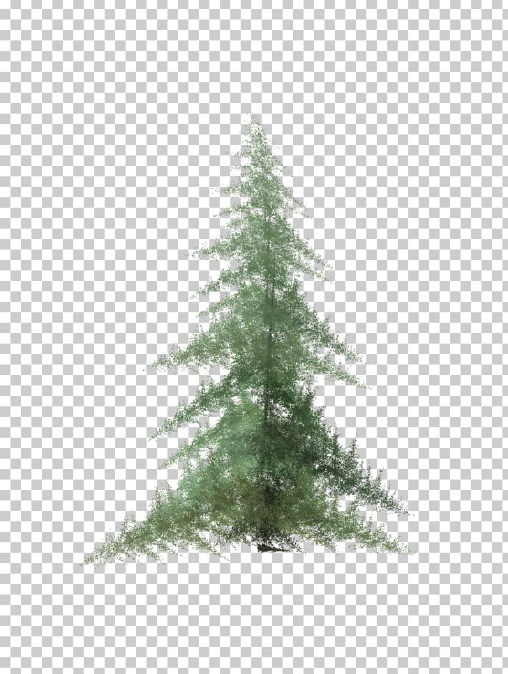 Pine Spruce Fir Tree PNG, Clipart, Biome, Christmas Decoration, Christmas Ornament, Christmas Tree, Conifer Free PNG Download