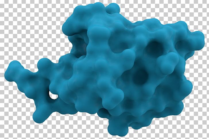 Ubiquitination Protein Proteasome Proteolysis PNG, Clipart, Allosteric Regulation, Aqua, Aspartate Carbamoyltransferase, Cell, Common Free PNG Download