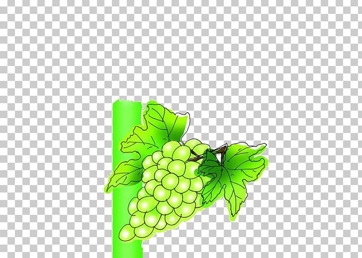 Wine Grape Juice Packaging And Labeling PNG, Clipart, Advertising, Auglis, Black Grapes, Designer, Drink Free PNG Download