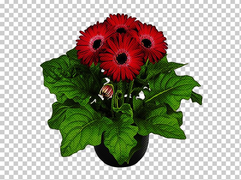 Flower Barberton Daisy Plant Gerbera Cut Flowers PNG, Clipart, Barberton Daisy, Bouquet, Cut Flowers, Flower, Flowerpot Free PNG Download