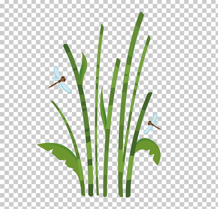 Bamboo Sticker Drawing Bamboe Reed PNG, Clipart, Bamboe, Bamboo, Branch, Cane, Child Free PNG Download