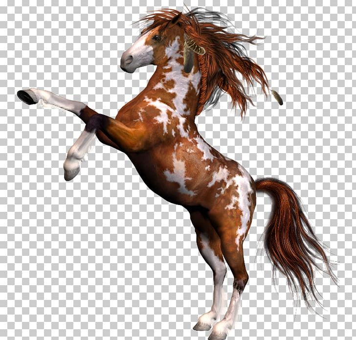 Mane Mustang Stallion Mare Halter PNG, Clipart, Curtain, Douchegordijn, Halter, Horse, Horse Like Mammal Free PNG Download
